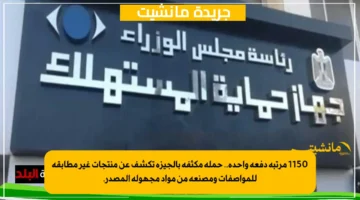 1150 مرتبة دفعة واحدة.. حملة مكثفة بالجيزة تكشف عن منتجات غير مطابقة للمواصفات ومصنعة من مواد مجهولة المصدر. 1